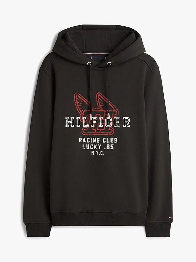 Graphic Terry Drawstring Hoody
